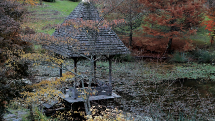 Arboretum de La Sédelle