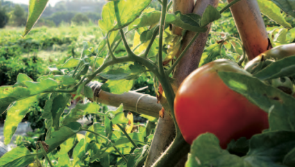 Loi biodiversité