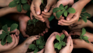 Solidarité avec la nature