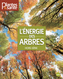 Hors-série Energie des arbres Tome I