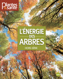 Hors-série Energie des arbres Tome I - Numérique