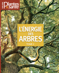 Hors-série Energie des arbres Tome II