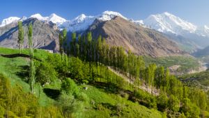 Hunza Valley, au Pakistan