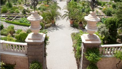 Jardin botanique de Padoue