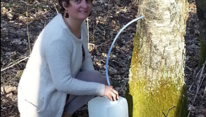 Patricia Mingotaud récolte le précieux liquide.