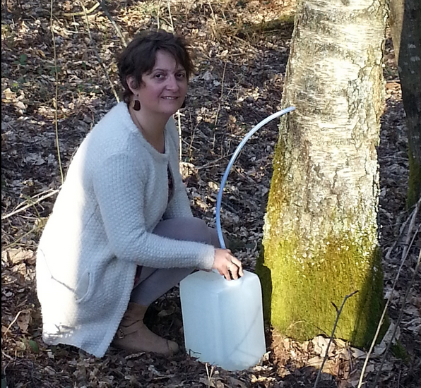 Patricia Mingotaud récolte le précieux liquide.