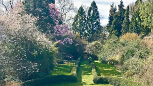 Le plantarium de Gaujacq