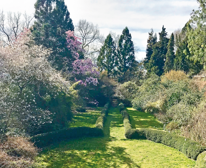 Le plantarium de Gaujacq