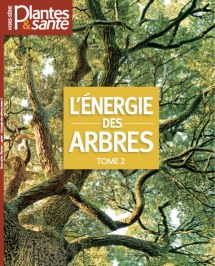 Hors-série Energie des arbres tome II - Numérique