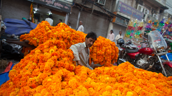 À new Delhi, en Inde, un vendeur de fleurs à l'occasion du Diwali, le festival des lumières dédié à la déesse Lakshmi.