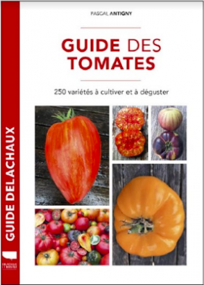 Guide des tomates