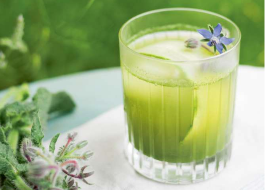 Jus de concombre, bourrache et laitue, recette et photo de Michael Isted.