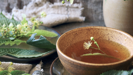 Le binchotan, le diamant noir du Japon- Plantes et Santé