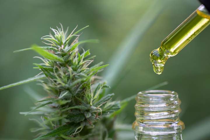 Nouvel imbroglio pour les produits à CBD