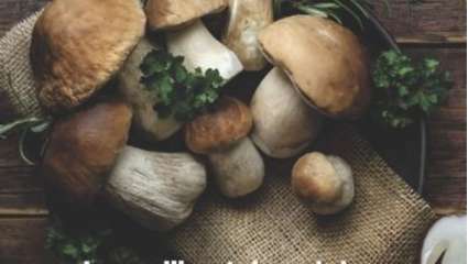 Je cueille et je cuisine  les champignons