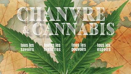 Chanvre & Cannabis