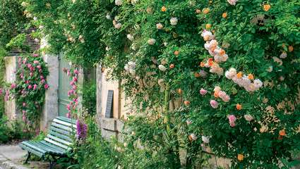 Le jardin de curé de Chédigny : charme et spiritualité