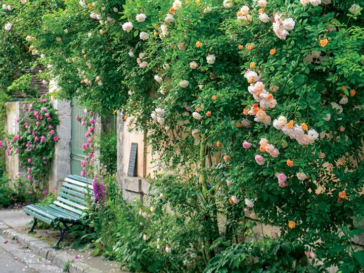 Le jardin de curé de Chédigny : charme et spiritualité