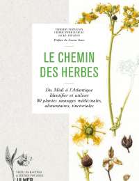 Le chemin des herbes de Thierry Thévenin, Cédric Perraudeau et Jacky Jousson