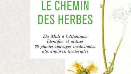 Le chemin des herbes de Thierry Thévenin, Cédric Perraudeau et Jacky Jousson