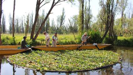 Les jardins flottants des Aztèques