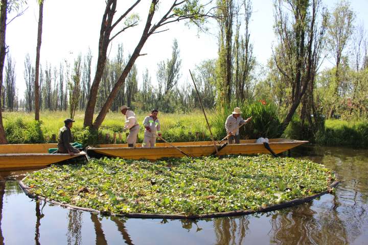 Les jardins flottants des Aztèques