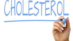 Cholestérol, une alternative végétale aux statines