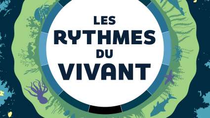 Les rythmes du vivant