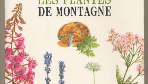 Cuisiner les plantes de montagne, par François Couplan, éd. Glénat