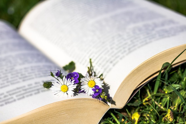 Livres Les plantes qui guérissent, qui nourrissent, qui décorent ...