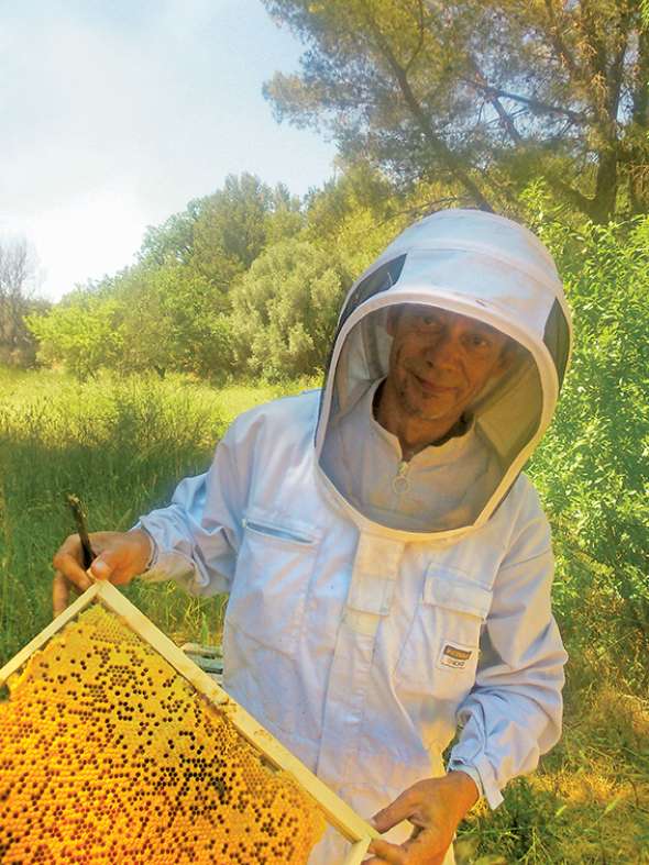 David Tiberghien est à la fois apiculteur et apithérapeute.