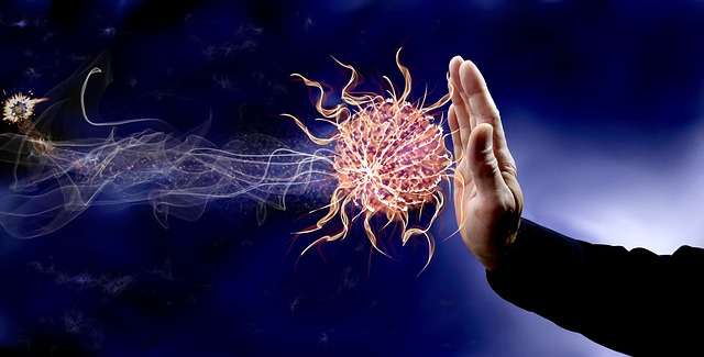 Défenses immunitaires : et si le virus était un ami ?