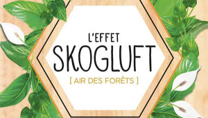 L'effet Skogluft , par Jorn Viumdal, éd. J'ai Lu