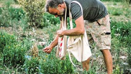 Cap sur le Jardin de Bizac