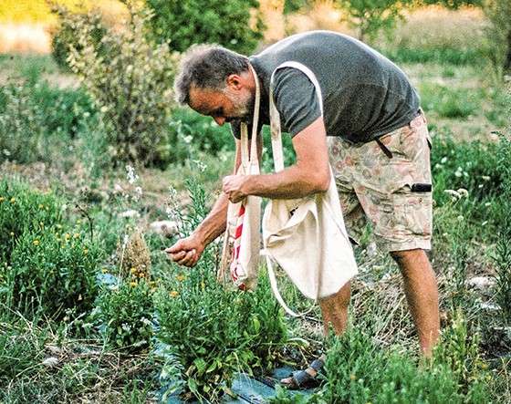 Cap sur le Jardin de Bizac