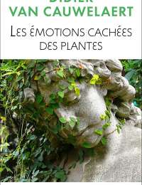 Les émotions cachées des plantes