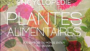 Encyclopédie des plantes alimentaires, par Michel Chauvet, éd. Belin