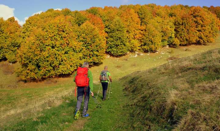 Marche nordique automne