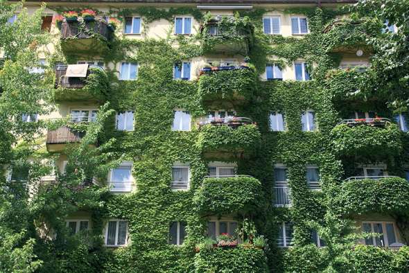 Faire un feu avec ses déchets verts ?