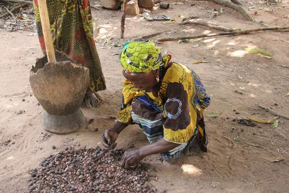 Selon le ministre du Commerce, de l’industrie et de l’artisanat burkinabè, Harouna Kaboré, la filière permet à près de trois millions de femmes d’avoir un revenu grâce au commerce du beurre de karité