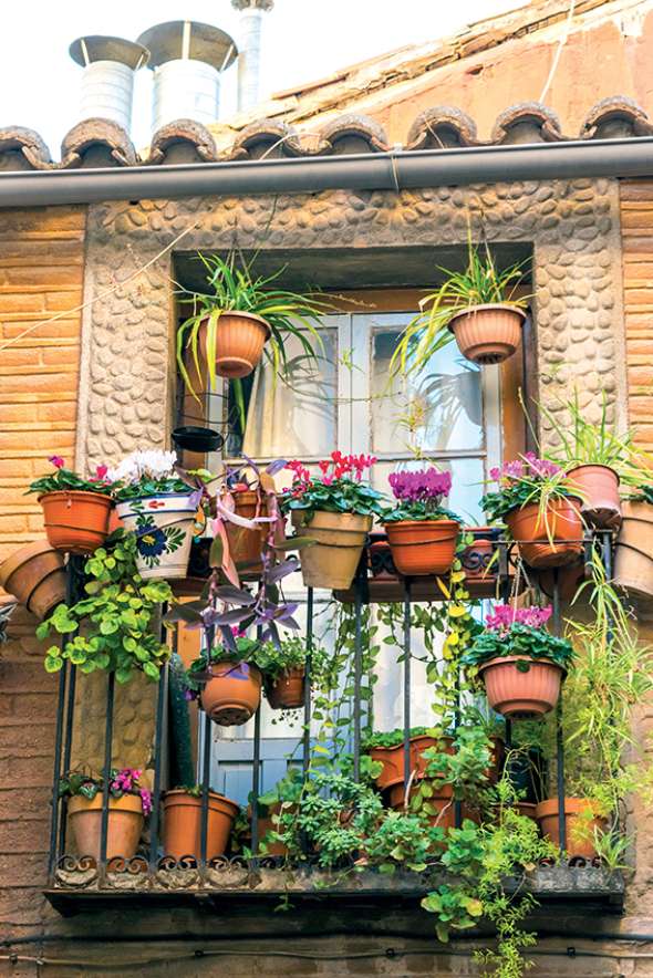 Pots de fleurs, lierre grimpant, compost et élagage d'arbres communaux