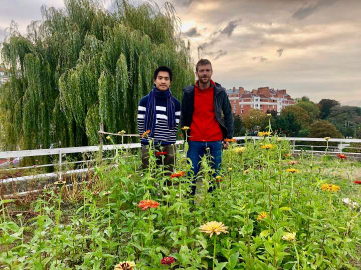 Ferme florale urbaine