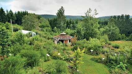 Une figue dans le poirier : La permaculture au sommet