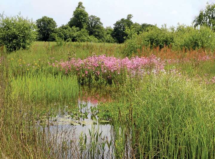 Jardin du Flérial