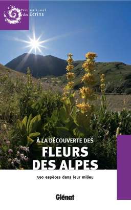 À la découverte des fleurs des Alpes