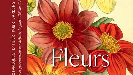 Fleurs