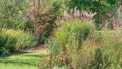 Le jardin du Fond de l'or : Une invitation aux voyages