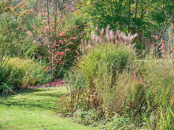 Le jardin du Fond de l'or : Une invitation aux voyages