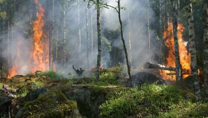 Incendies en Indonésie