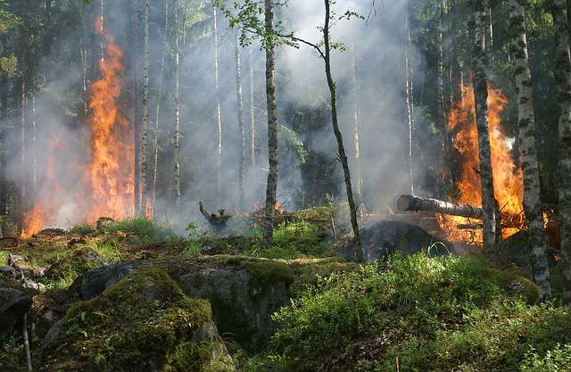 Incendies en Indonésie